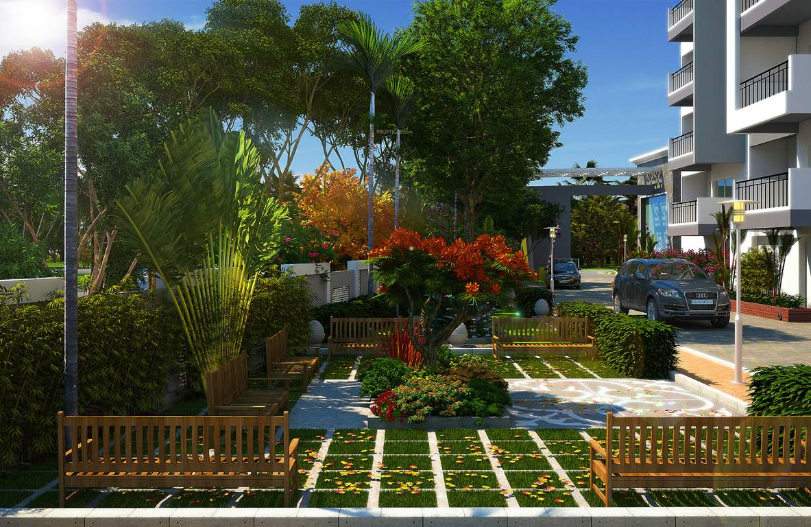  kingsland Landscape Garden and Tree Planting