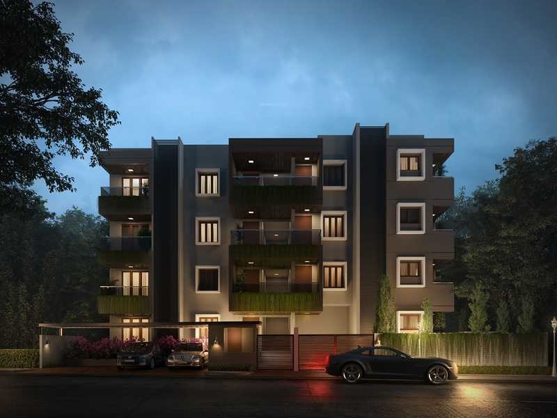  wind flower Elevation