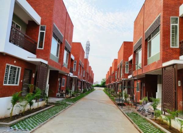 Internal Roads ivy Internal Roads