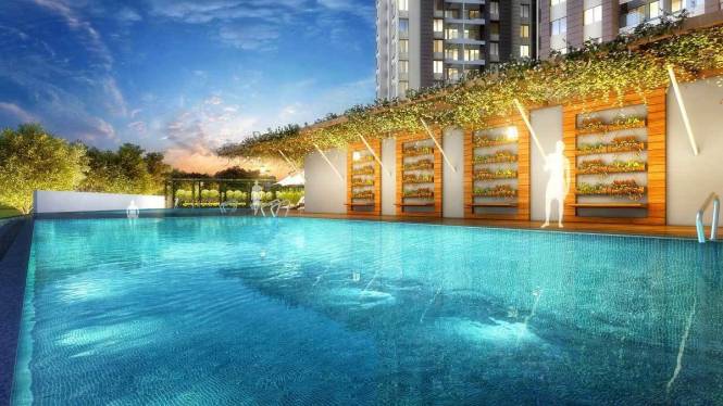blue-waters Swimming Pool