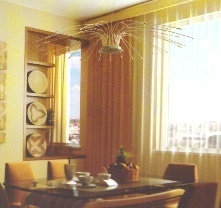  pramila-heights Dining Area