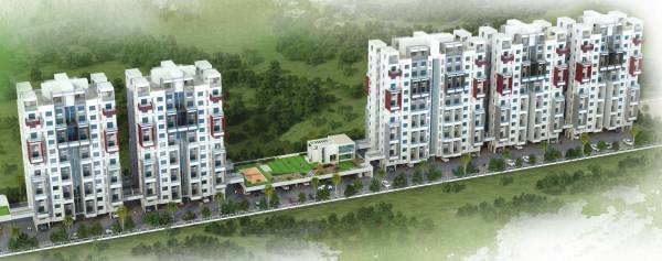  coloronic-phase-ii Elevation