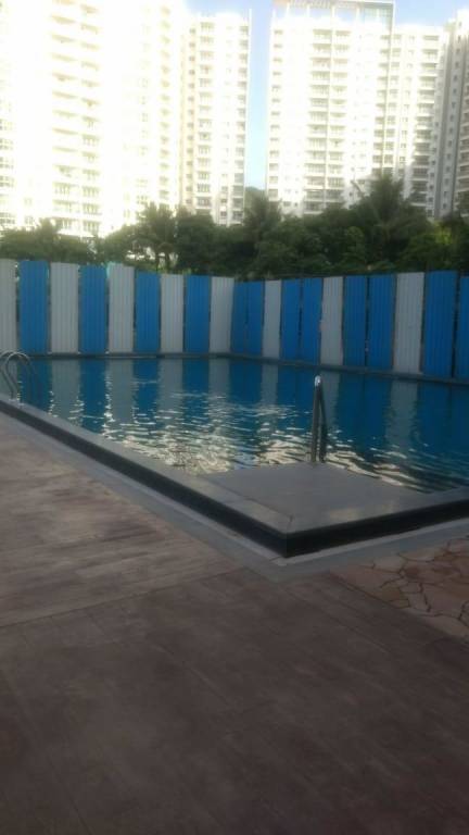 Pegasus Megapolis Mystic C