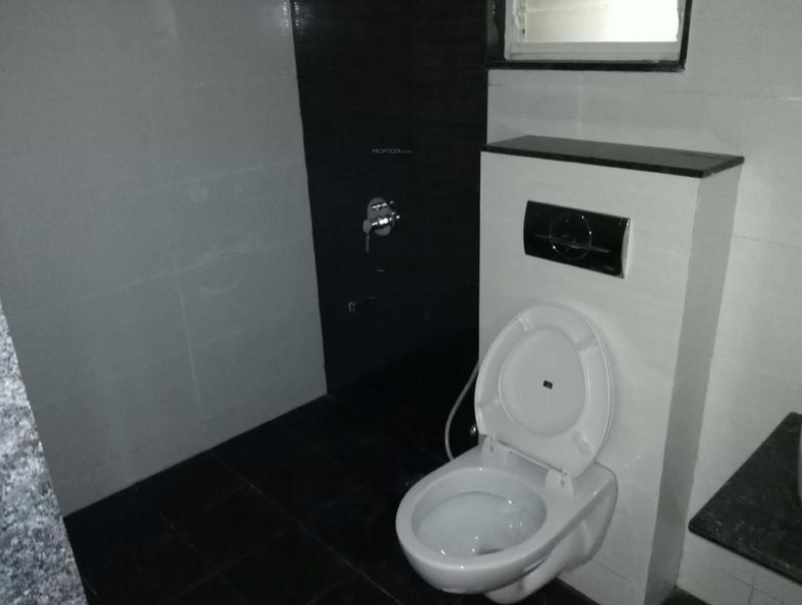 Pegasus Megapolis Mystic C