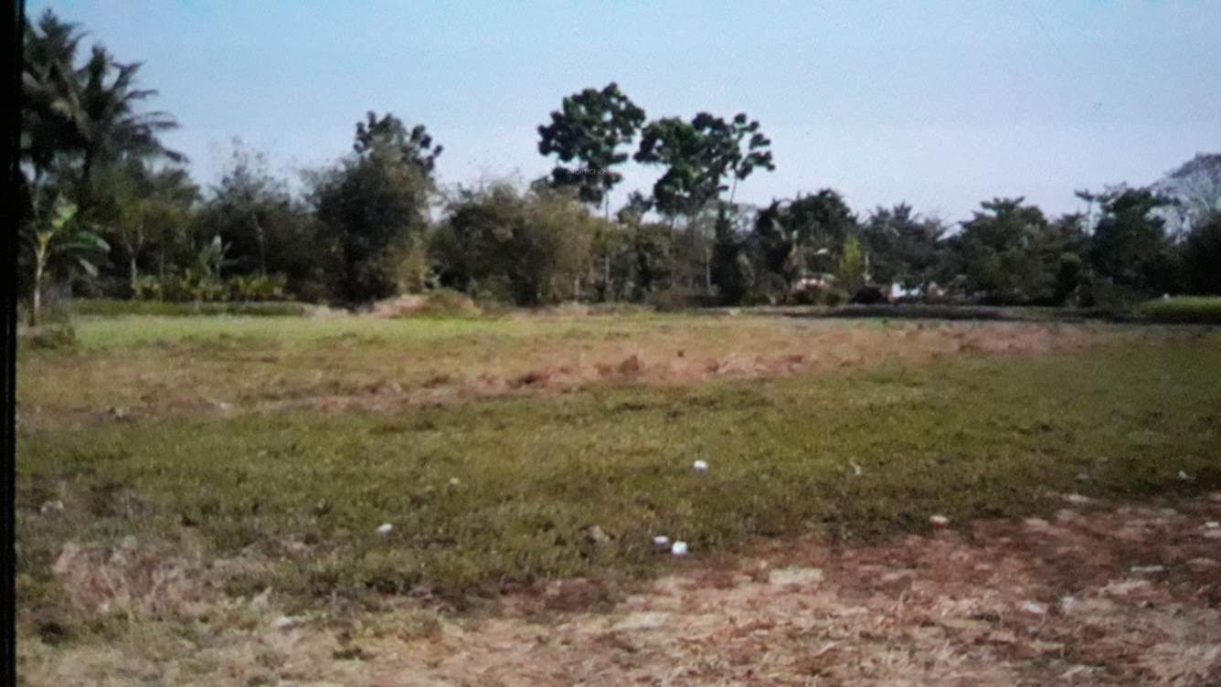 Images for Project