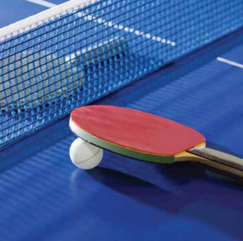  palm retreat mayberry phase 1 Table Tennis