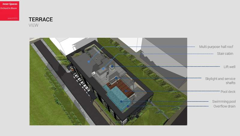  orchard in bloom Others