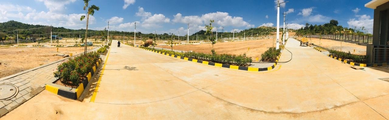 Images for mainOther