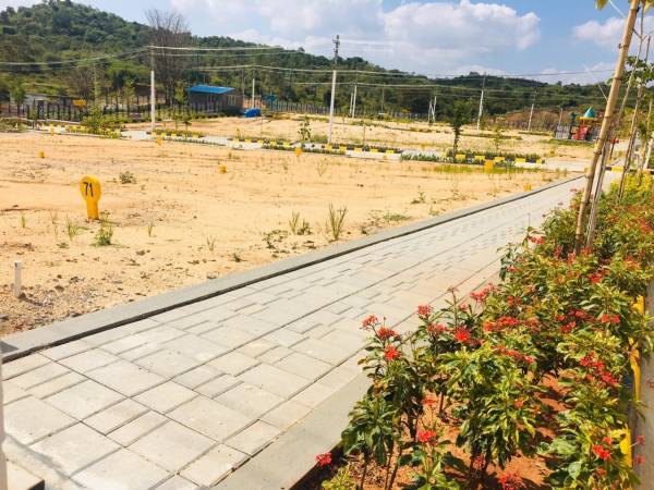 Images for mainOther