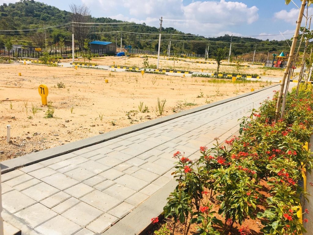 Images for mainOther