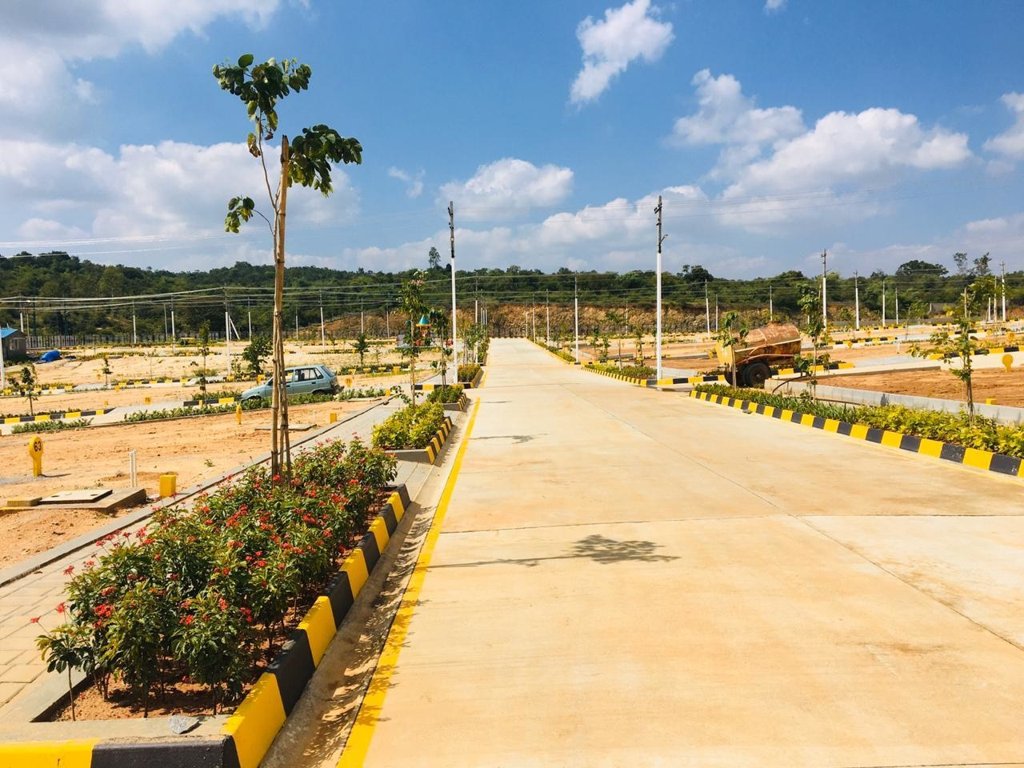 Images for mainOther