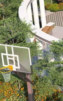  tulips Basketball Court