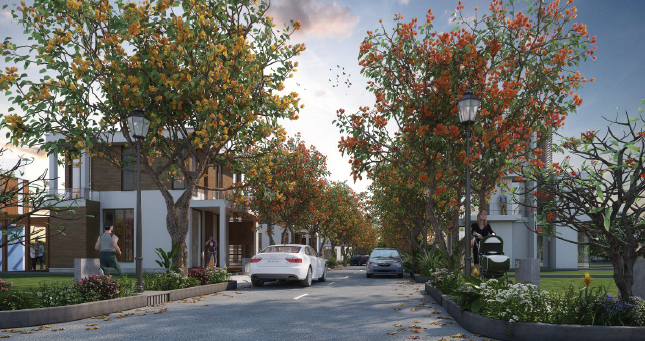  tulips Internal Roads