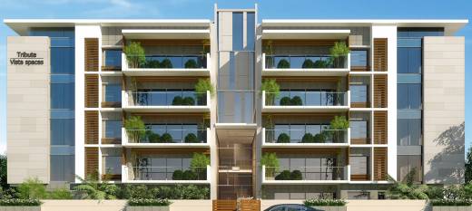 Images for Elevation of Vista Tribute Images for Elevation of Vista Tribute