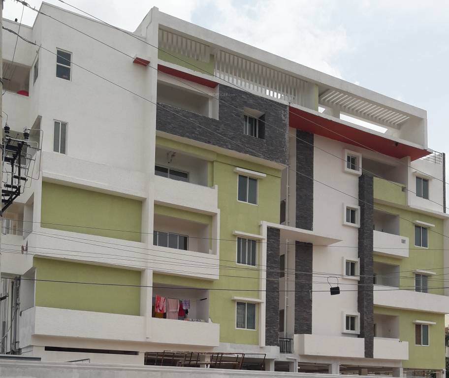  white pearl Images for Project