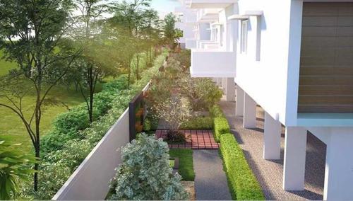  platina Landscape Garden and Tree Planting