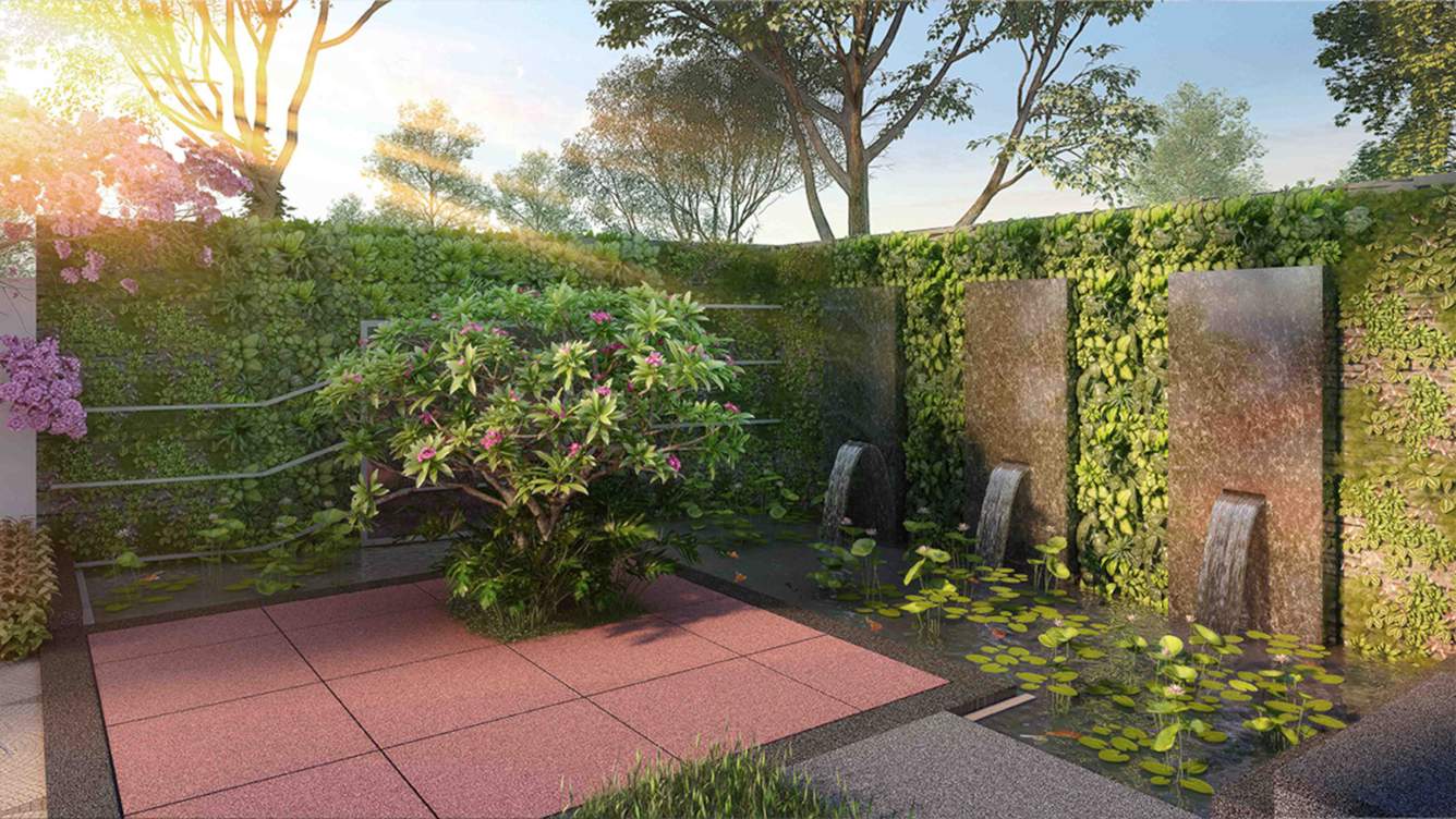  platina Natural Pond