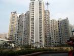 Wisteria Noida