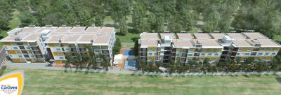  crown-imperials Elevation