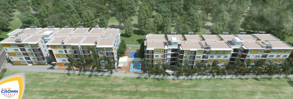  crown-imperials Elevation