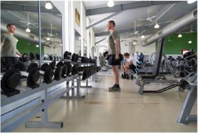  crown-imperials Gymnasium