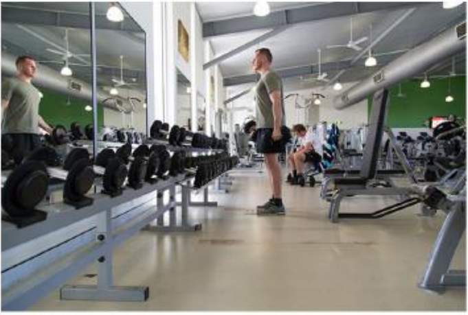  crown imperials Gymnasium