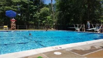  crown-imperials Swimming Pool