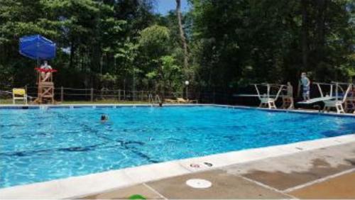  crown-imperials Swimming Pool