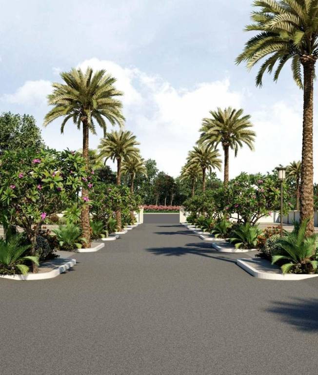 Images for Main Other of Sri Aditya Palm Grove