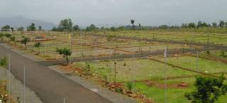 Project Image Project Image