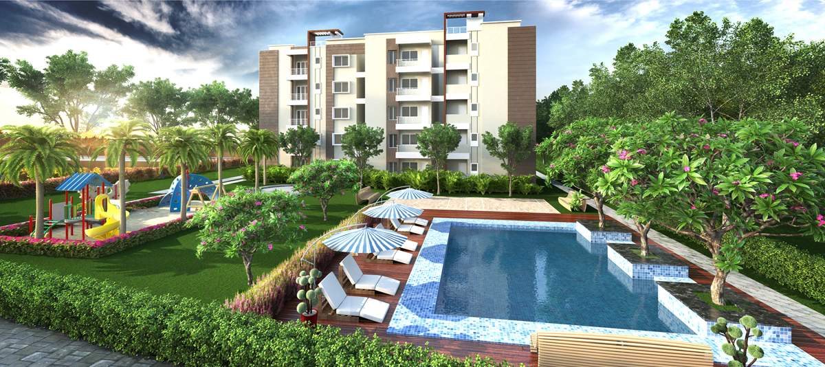  honey dew Swimming Pool