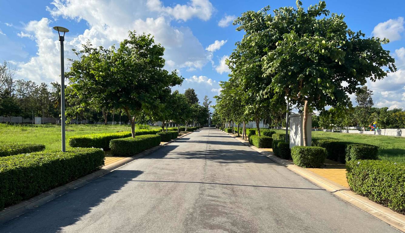 Elevation legend sujay Elevation