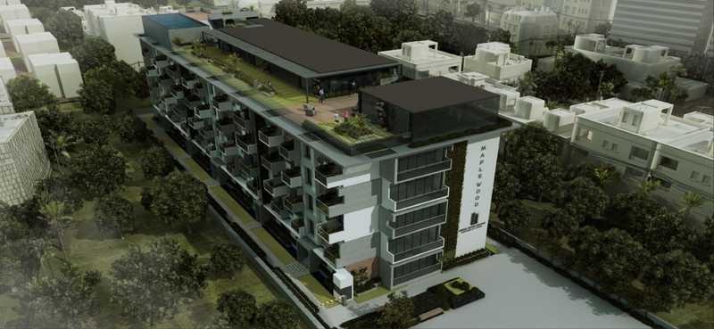  premier inspira maplewood Elevation