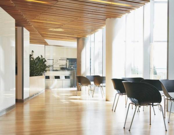  ozone-boulevard Others