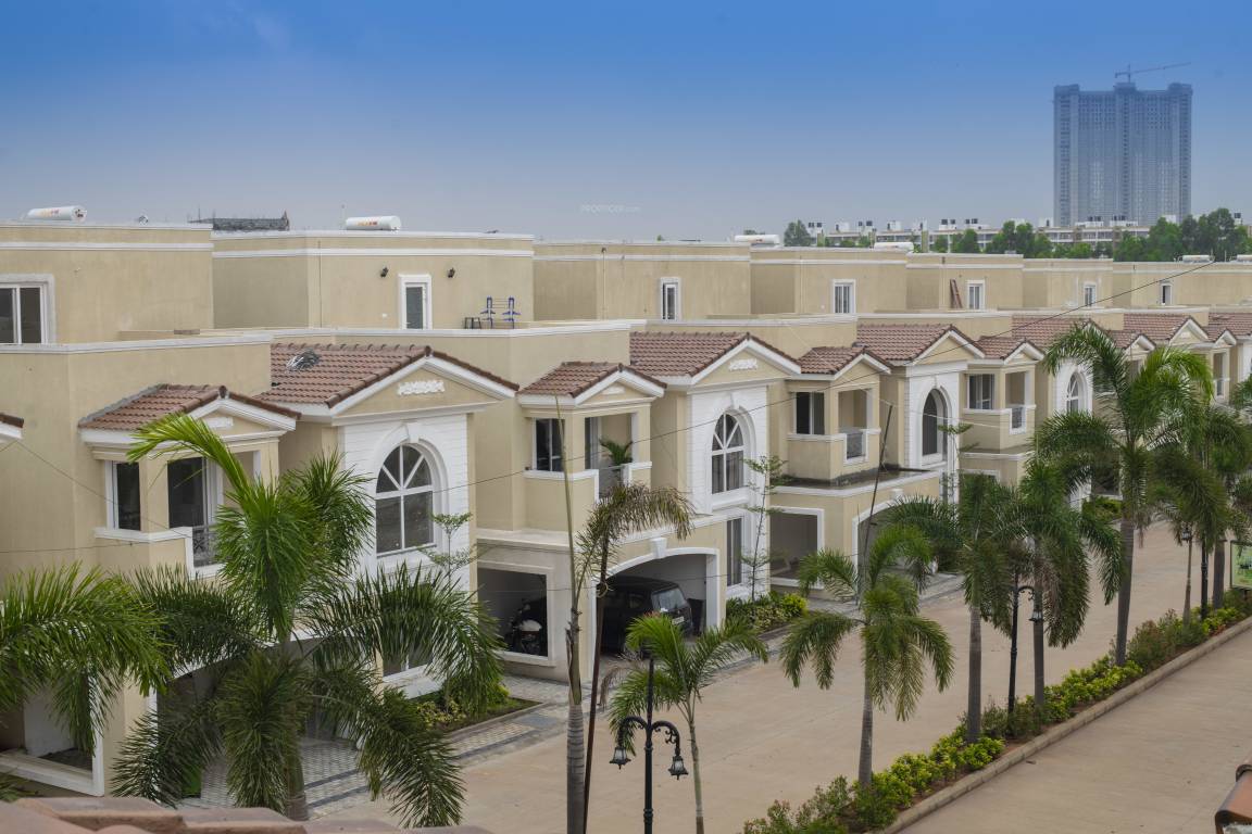  jrc palladio Elevation