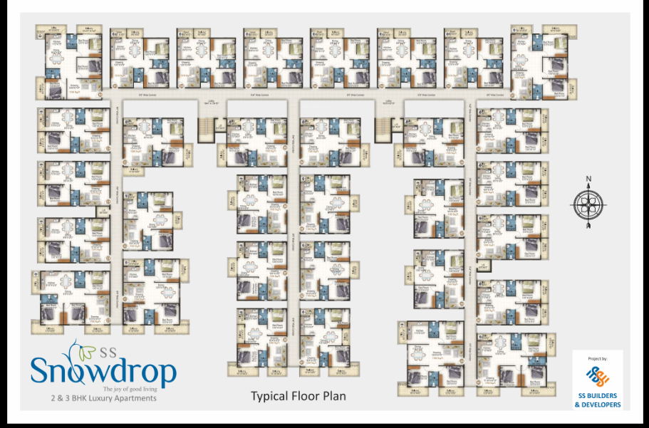  snowdrop Cluster Plan