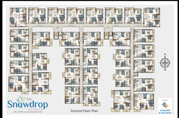  snowdrop Cluster Plan