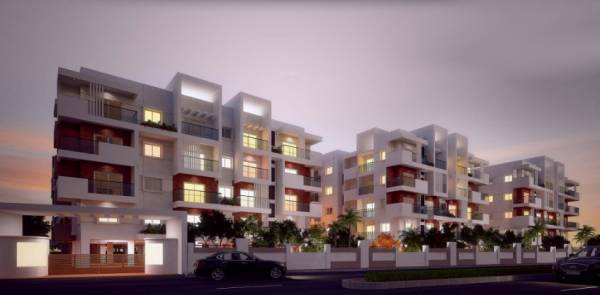  snowdrop Images for Elevation of SS Snowdrop