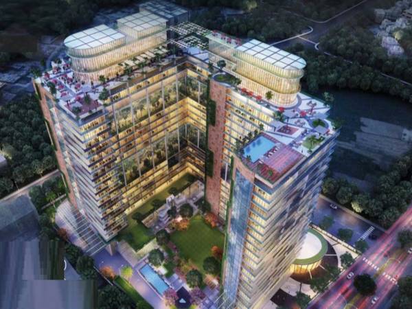 Elevation anthurium Elevation