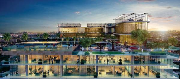 Terrace Garden anthurium Terrace Garden