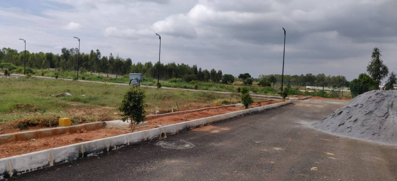 Images for mainOther