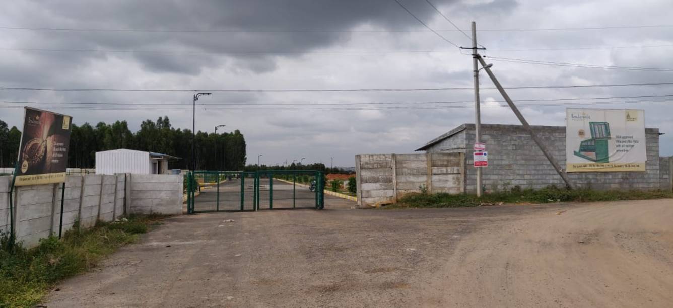 Images for mainOther