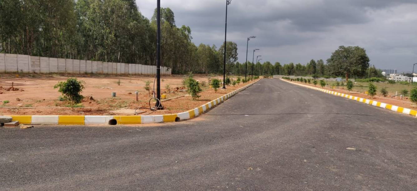 Images for mainOther