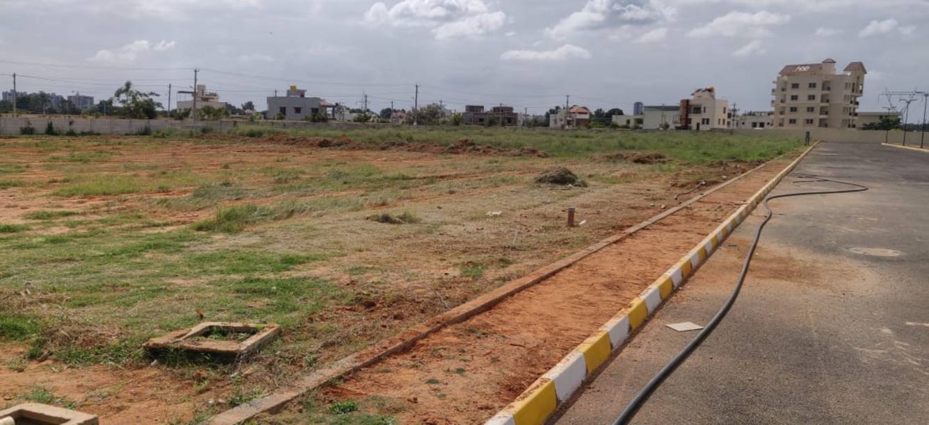 Images for mainOther