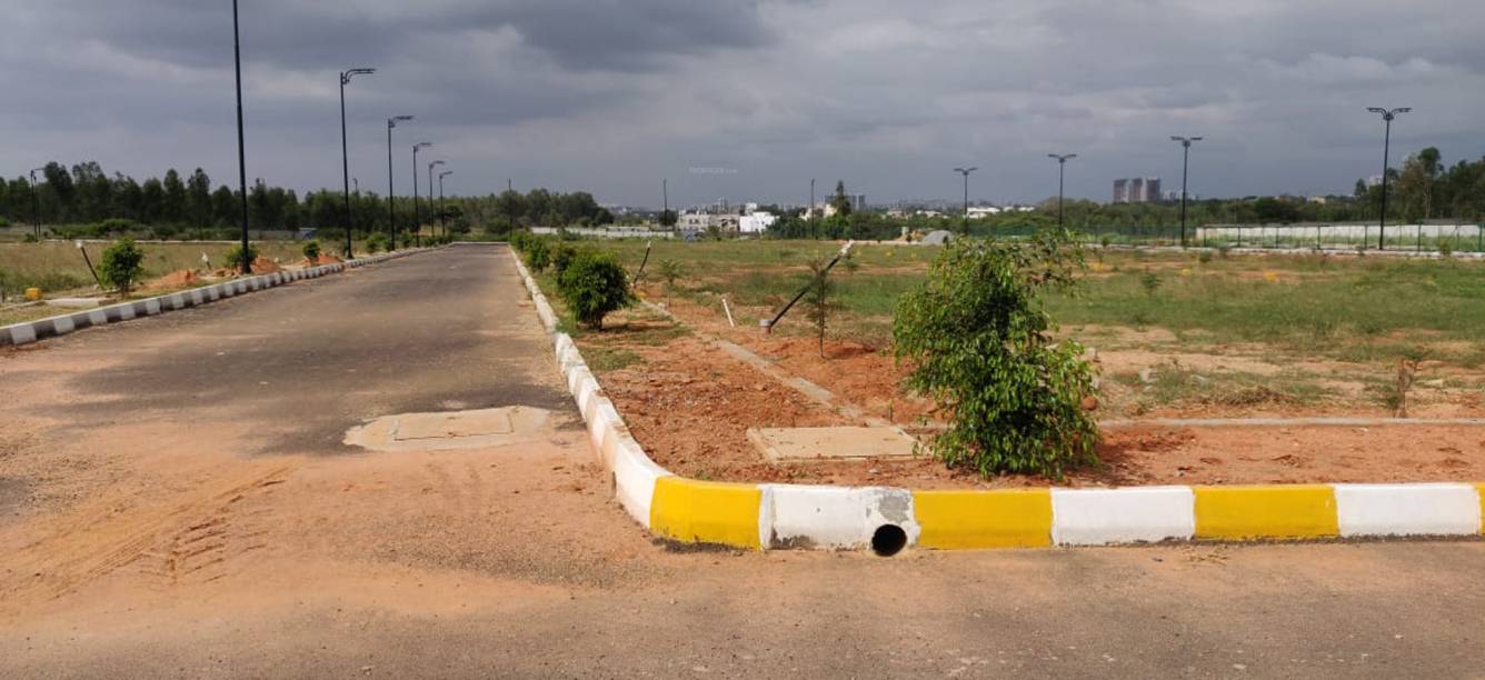 Images for mainOther