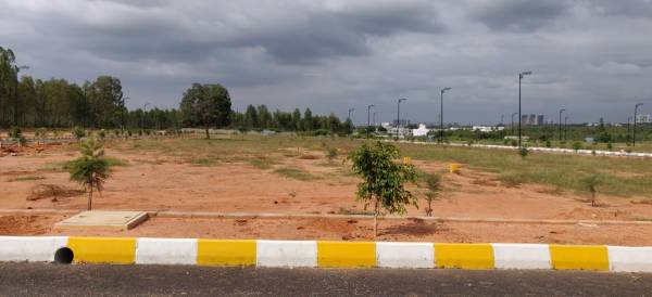 Images for mainOther