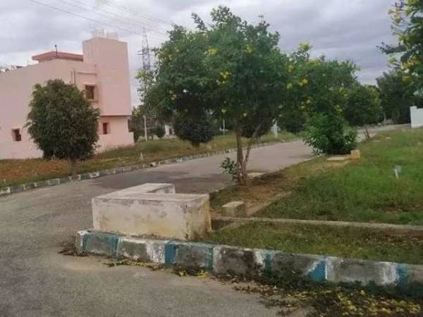 Images for mainOther