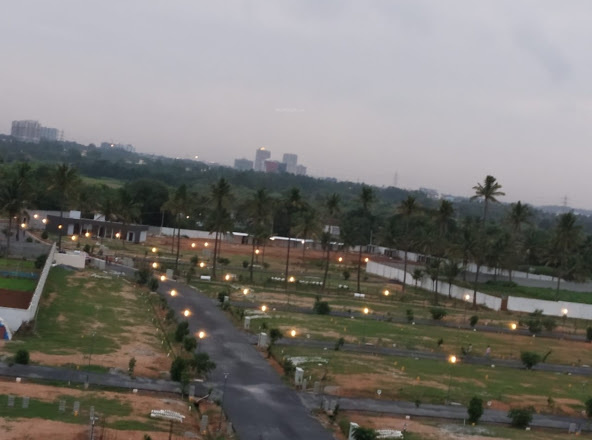  salvina-sapphire Elevation