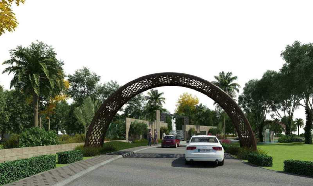  salvina sapphire Elevation