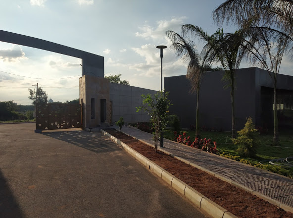  salvina-sapphire Plot